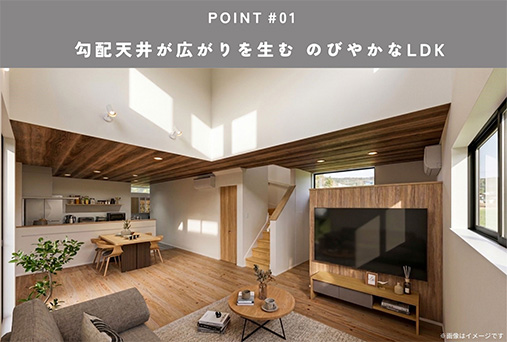 POINT01